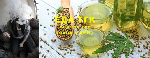 индика Киреевск