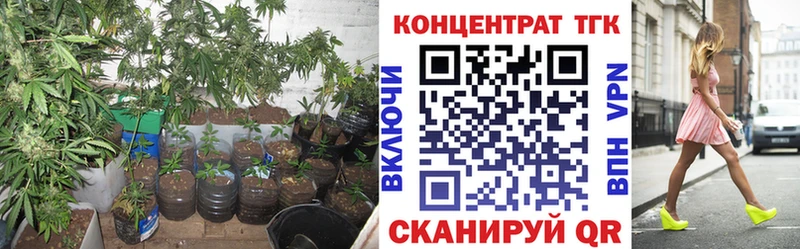 Дистиллят ТГК концентрат  Волхов 