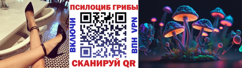 omg зеркало  Волхов  Псилоцибиновые грибы Cubensis 