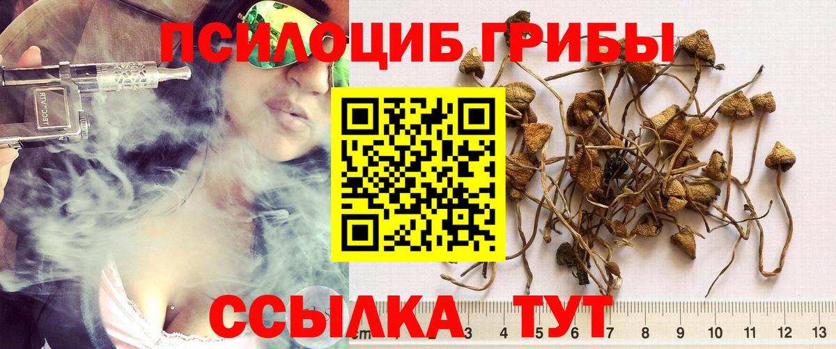 Галлюциногенные грибы Magic Shrooms  Галлюциногенные грибы MAGIC MUSHROOMS  Волхов  Вход с VPN 